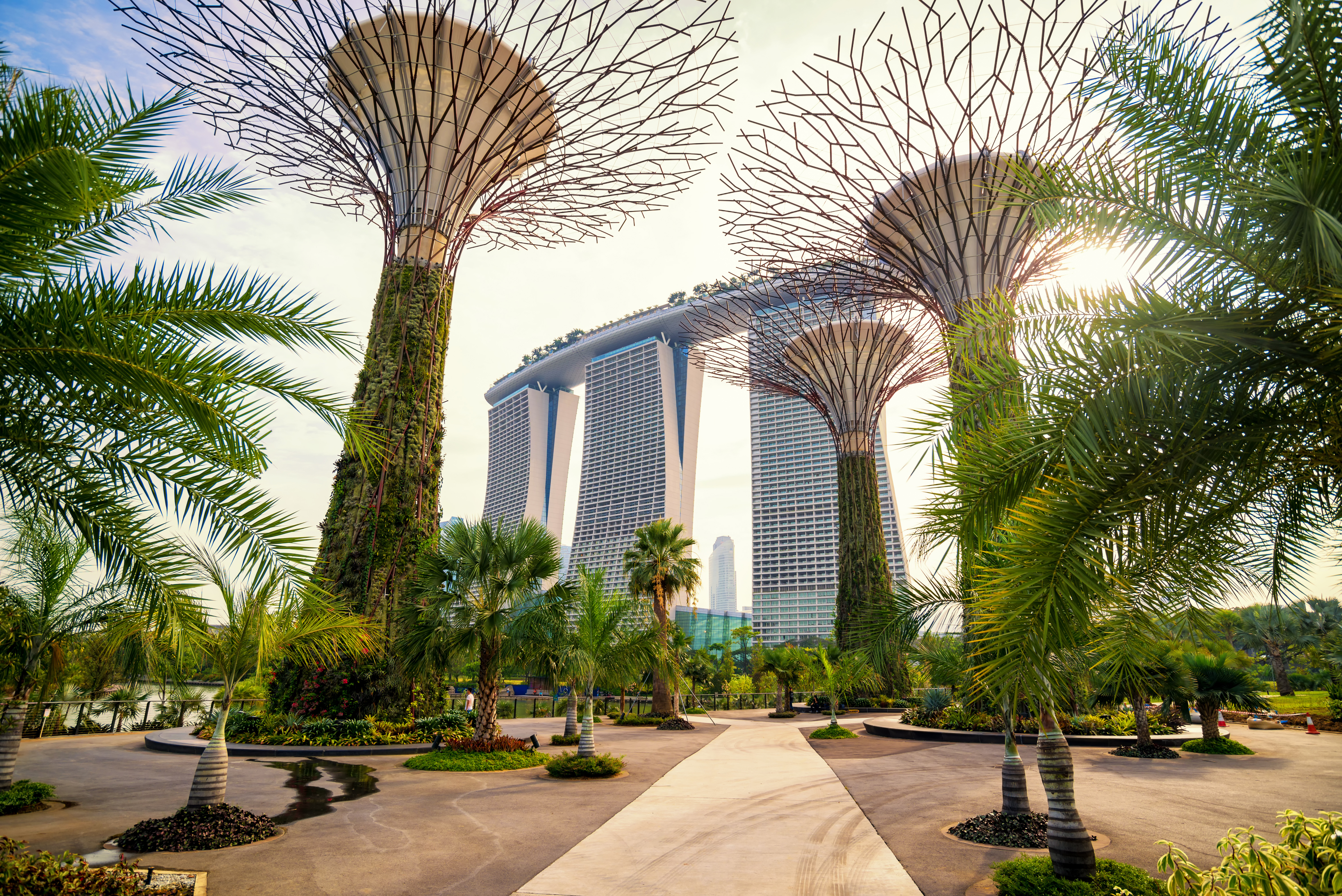 The Supertree at Gardens by the Bay and marina bay sand