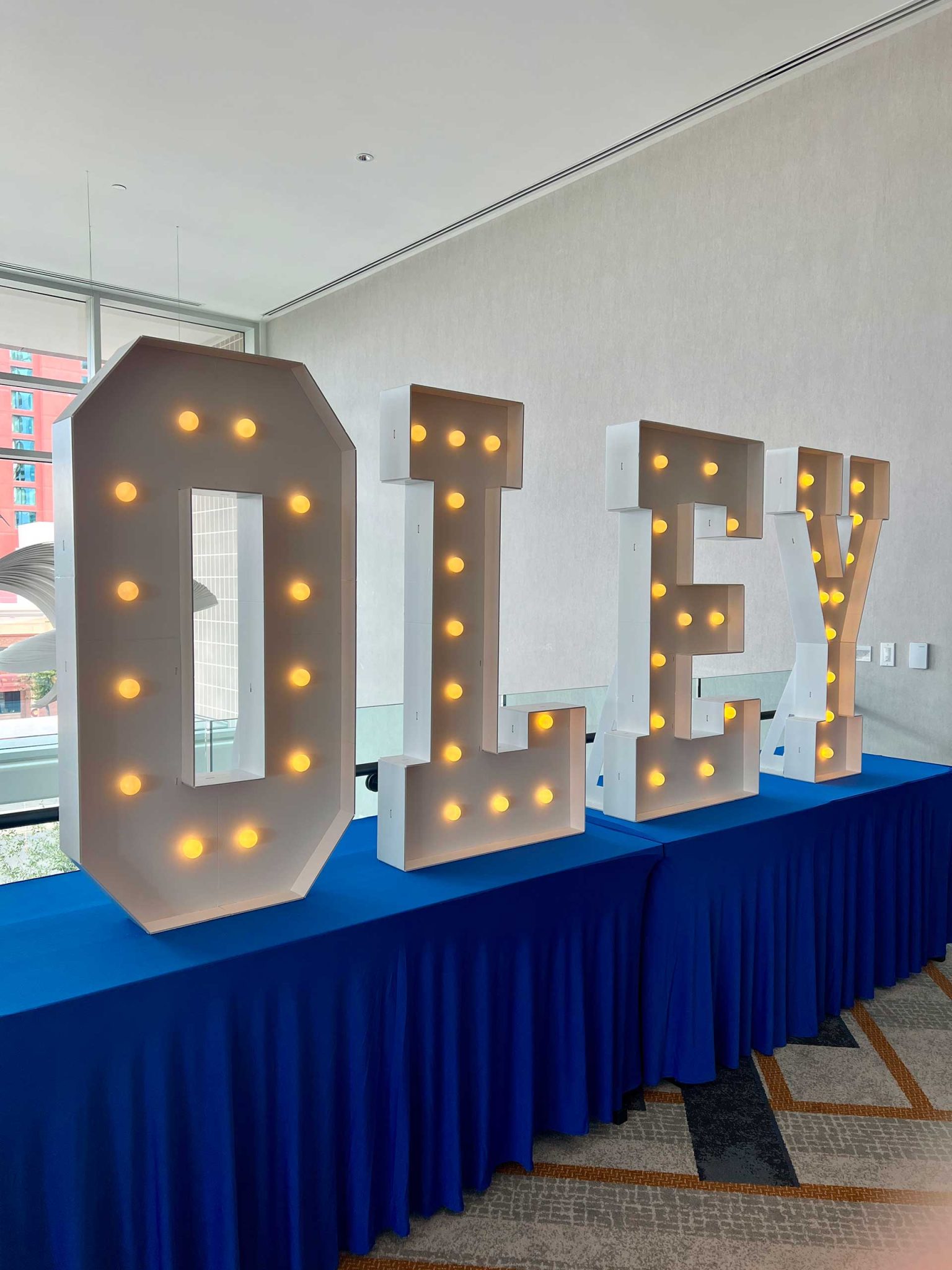 OLEY Conference 2024 Danumed Medizintechnik GmbH OLEY Conference 2024 Danumed Medizintechnik GmbH